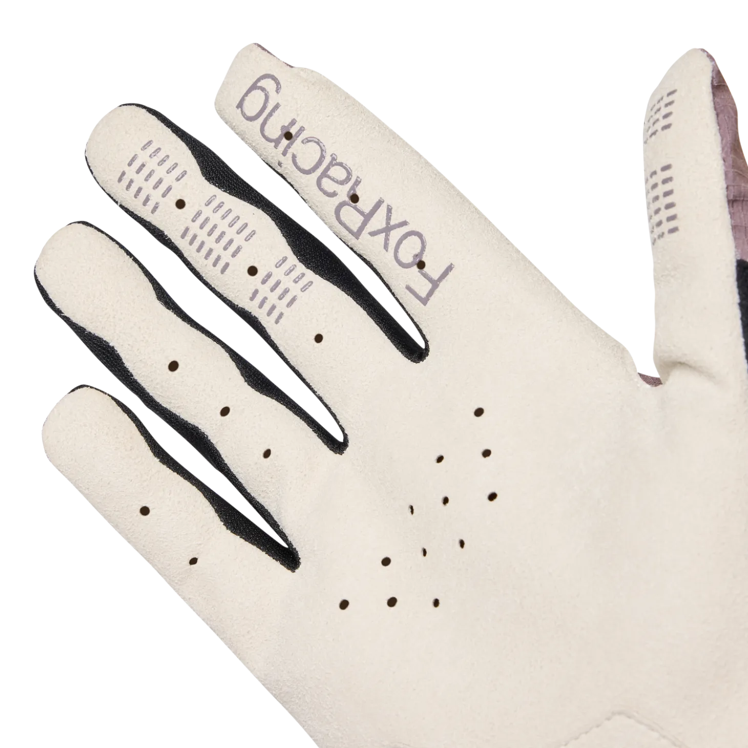 Defend Park Glove Special Edition