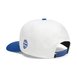 Fox Shadow Snapback Hat