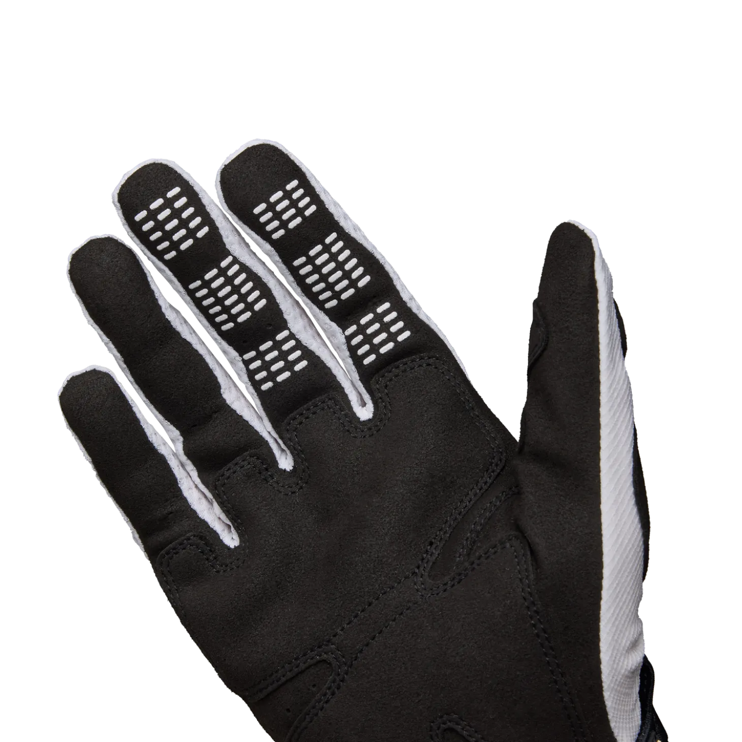 Handschoenen Pawtector