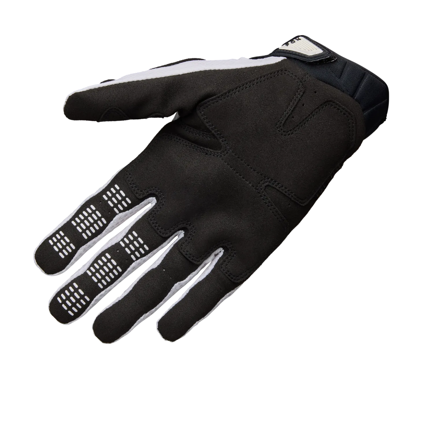 Handschoenen Pawtector