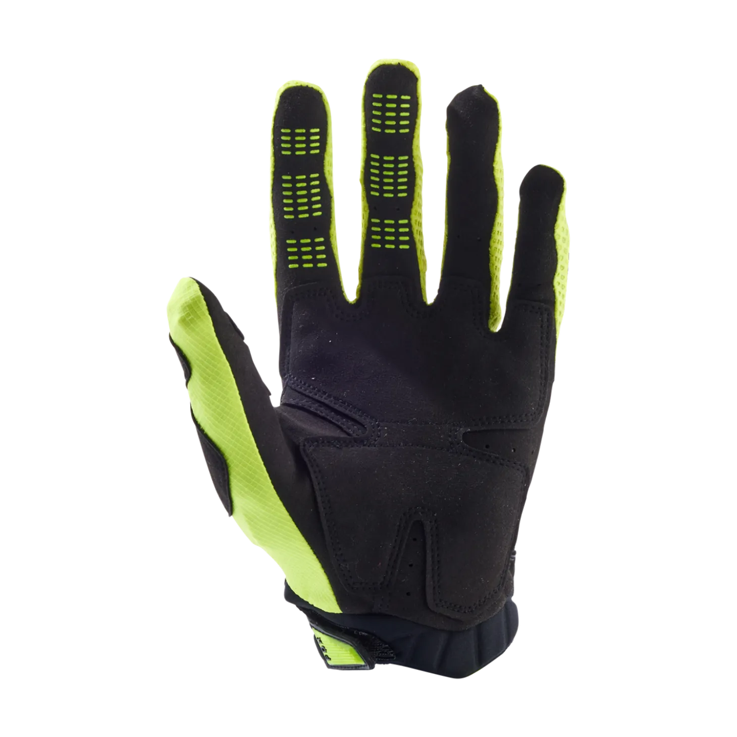 Handschoenen Pawtector