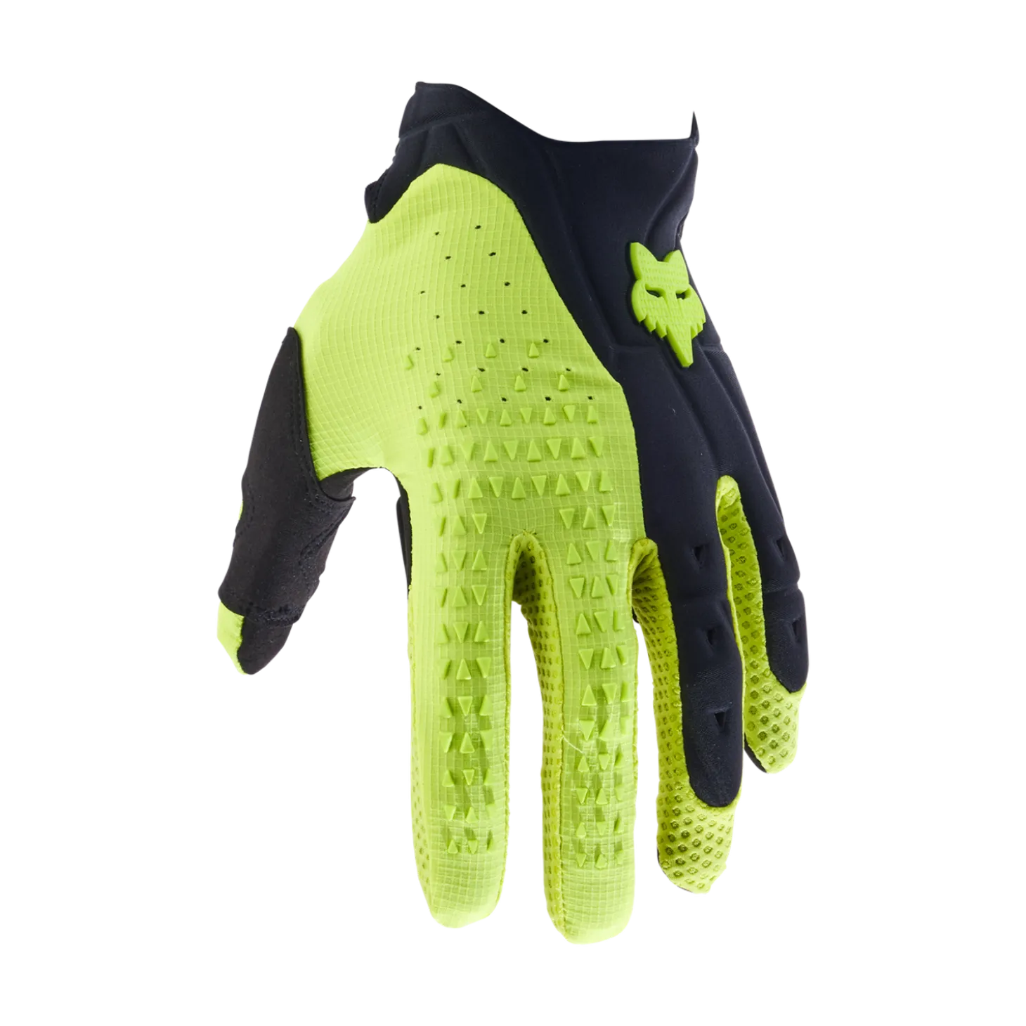 Handschoenen Pawtector