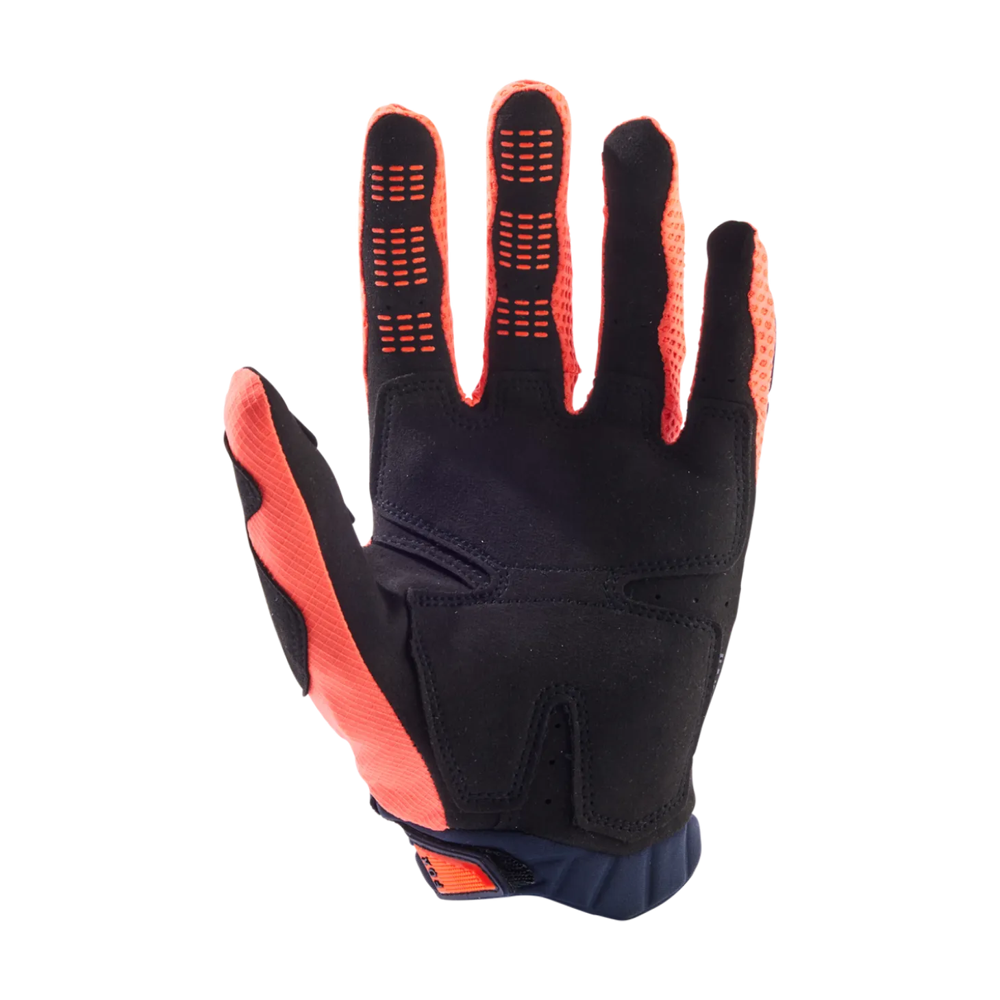 Handschoenen Pawtector
