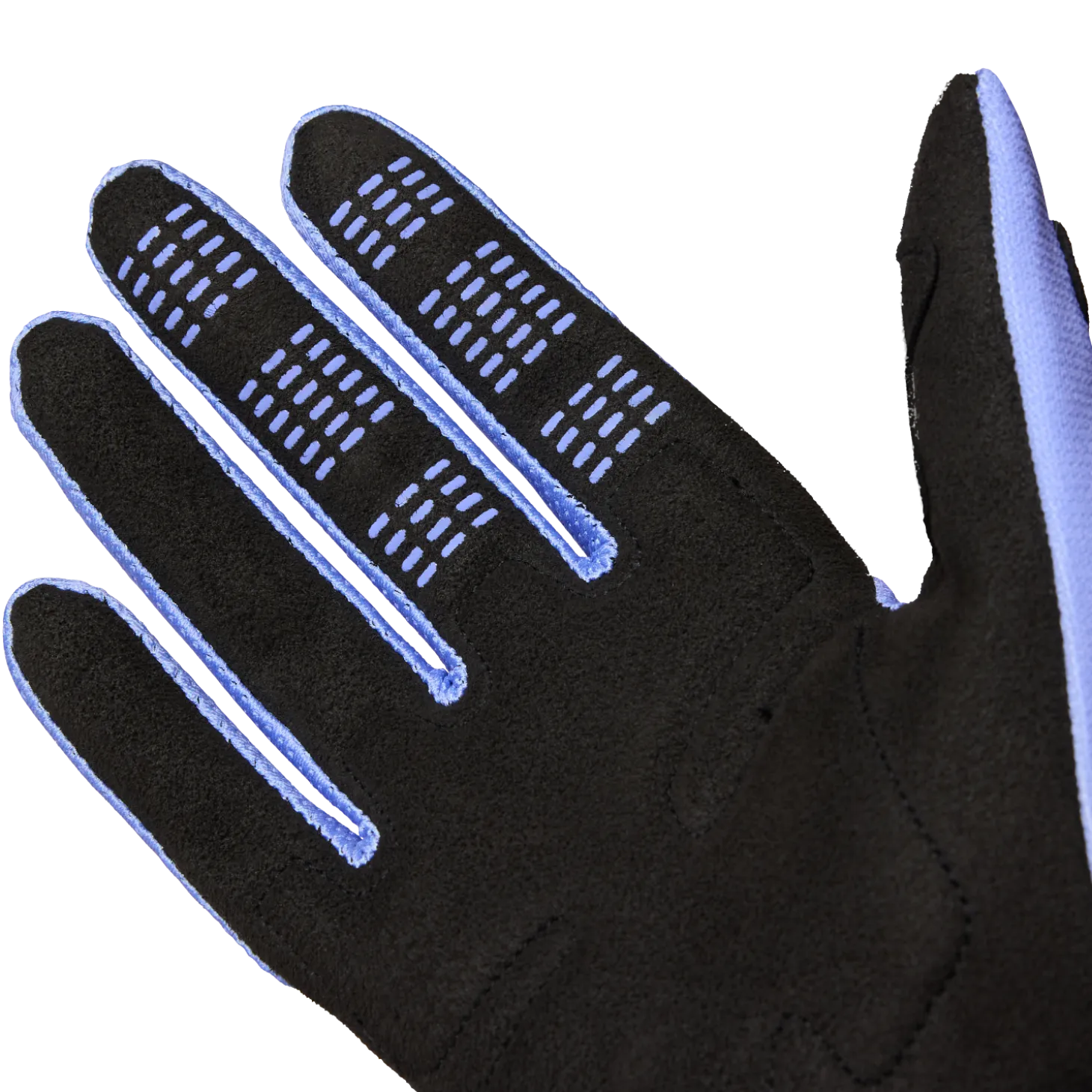 180 Nobele Handschoenen