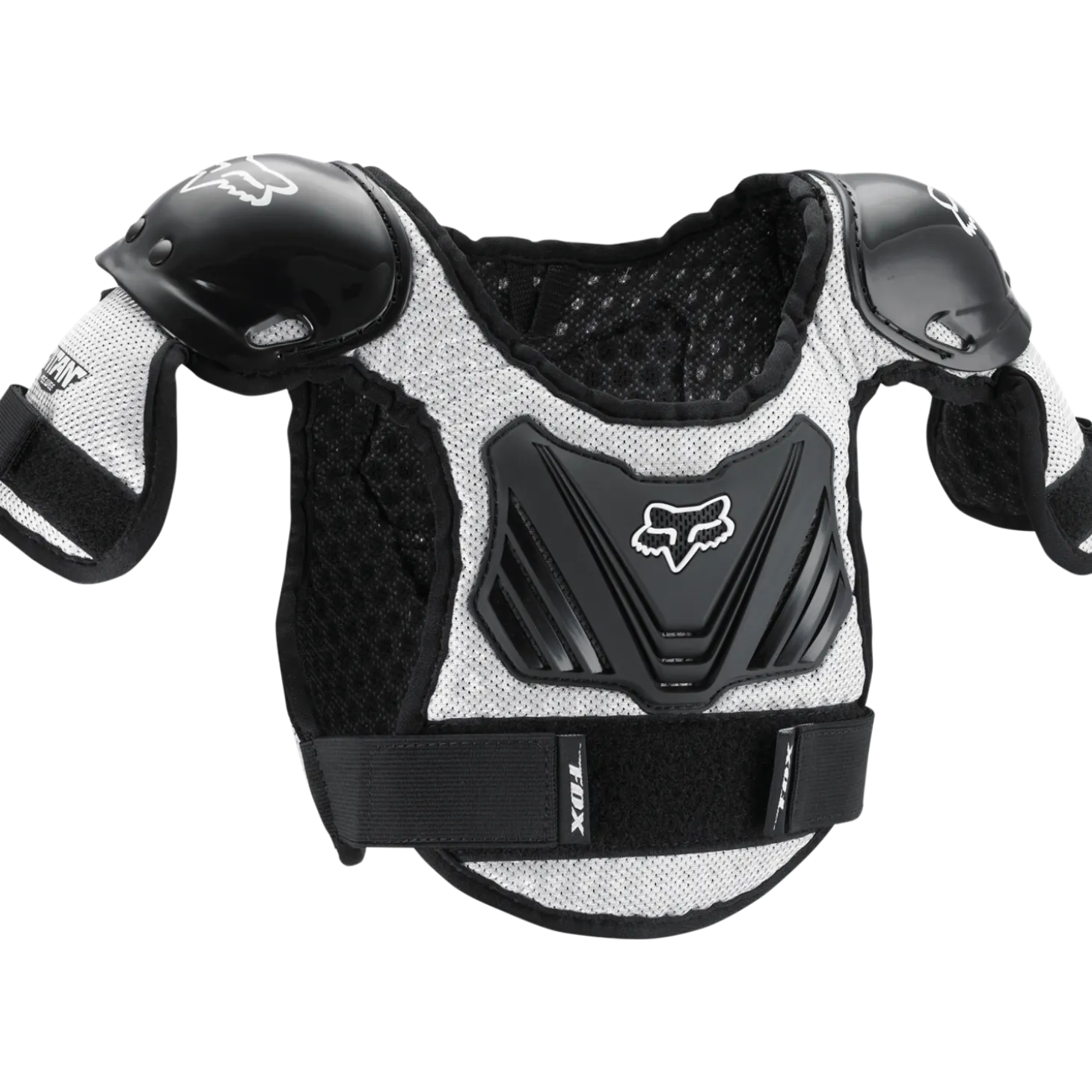 Protector Peewee Titan